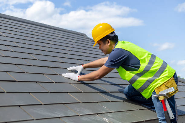 Best Commercial Roofing Services  in Fruitvale, CO
