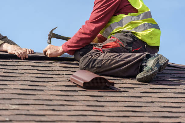 Best Roof Leak Repair  in Fruitvale, CO