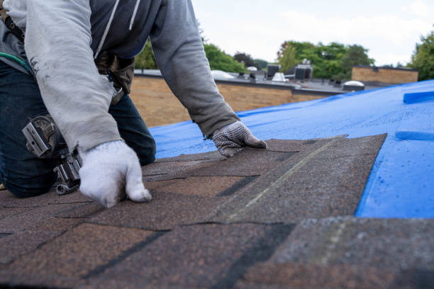 Best Metal Roofing Contractor  in Fruitvale, CO