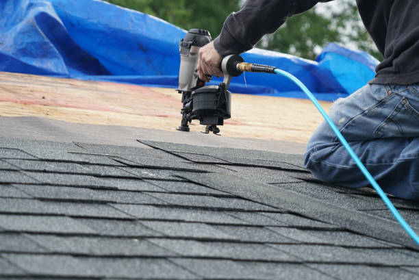 Best Storm Damage Roof Repair  in Fruitvale, CO